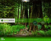 Xanity Design
